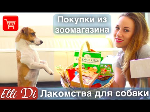 Видео: РЕВИЗОР ЭЛЛИ ДИ - ЛАКОМСТВА ДЛЯ СОБАКИ ОБЗОР | ПОКУПКИ ИЗ ЗООМАГАЗИНА | Elli Di