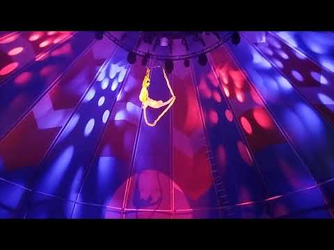 Видео: "КОР-ДЕ-ВОЛАН" ОЛЬГА ВАСИЛЬЕВА, "ШОУ МОРСКИХ КОТИКОВ", ЦИРК "АВТОВО"