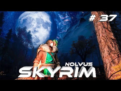 Видео: СкайримSkyrim #37 Теперь дамы в безопасности NOLVUS 2000+Модов Прохождение За Мага 2К