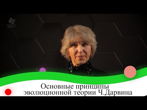 Видео: Основные принципы эволюционной теории Ч.Дарвина. 9 класс.