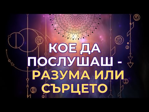 Видео: Сърце или разум - кое да избереш?