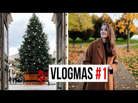 Видео: МОЙ ПЕРВЫЙ ИМБИРНЫЙ ДОМИК | VLOGMAS #1