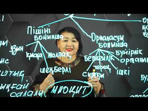 Видео: Бұлшық ет ұлпаларының құрылысы мен қызметі. Адам денесінің бұлшық еттерін жіктеу. 8 сынып.