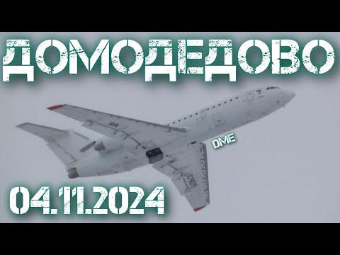 Видео: Споттинг в Домодедово 04.11.2024