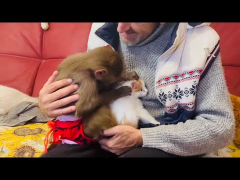 Видео: Вот оно ЛЮСЬКИНО СЧАСТЬЕ! Люська увидела котят и включила ЗАБОТУШКУ!