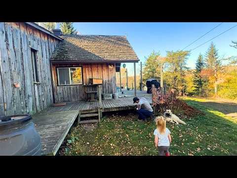 Видео: Подготовка к зиме вдали от цивилизации | Готовим всё до наступления заморозков