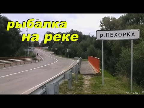 Видео: рыбалка на пехорке 2 #пехорка #рыбалка #спиннинг