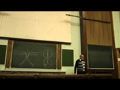 Видео: 02.11.13 Сергеев И.Ю. часть 1