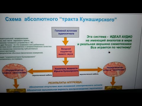Видео: Нормализаторы Кунаширского и нечистая сила на их пути.