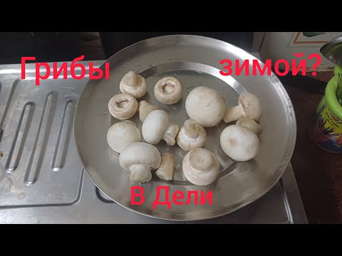 Видео: Зимой в Дели есть грибы🍄There are mushrooms in Delhi in winter🍄