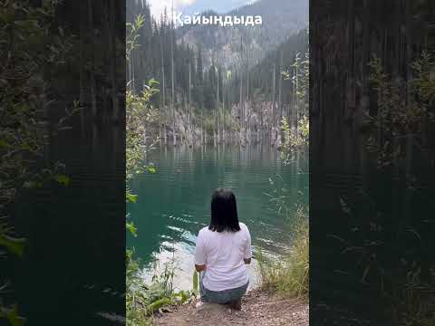 Видео: #shortvideo#nature#қайыңды#мысливслух