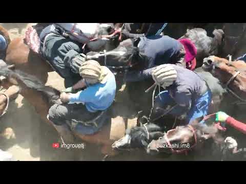 Видео: Бузкаши 15.03.2023 ш.Турсунзода (Регар)