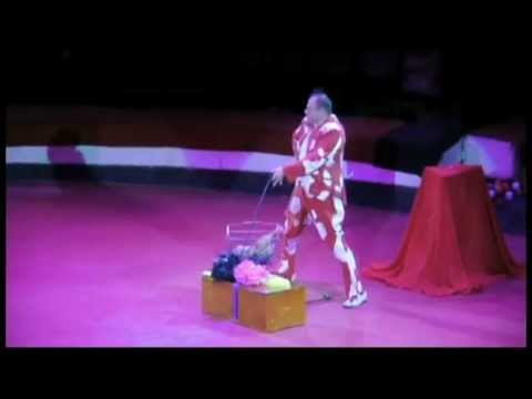 Видео: реприза собачки