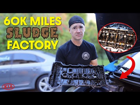 Видео: Клиент заявил, что Jiffy Lube отказалась заменить масло — завод по производству шлама Kia Forte