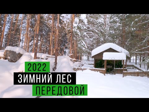 Видео: Зима в Передовом 2022 / Чертов Палец и Поляна Колдунов / Зимний лес