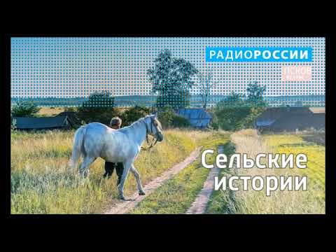 Видео: Сельские истории. Деревня Торошино. Выпуск 18.10.21