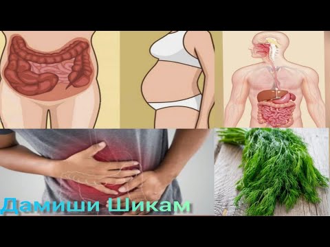 Видео: Дамиши шикам! Сабабхои пайдошави аломат ва рохи бартараф кардани он.