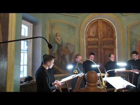 Видео: 14 Задостойник (Турчанинов)