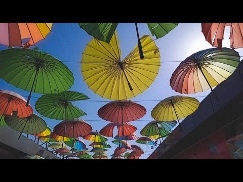 Видео: ВЛОГ СОЧИ/ Аллея парящих зонтиков/Роза хутор/ Дендрарий