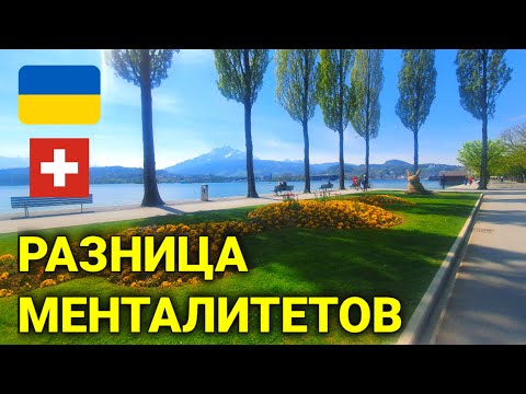 Видео: адаптация в Швейцарии | разница менталитета