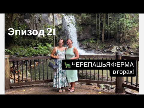 Видео: Эпизод 21 ЧУДО-ФЕРМА в Австралии! 🐢 Альпаки, Свиньи и ТАЙНЫЙ ВОДОПАД с призраком? 🌿