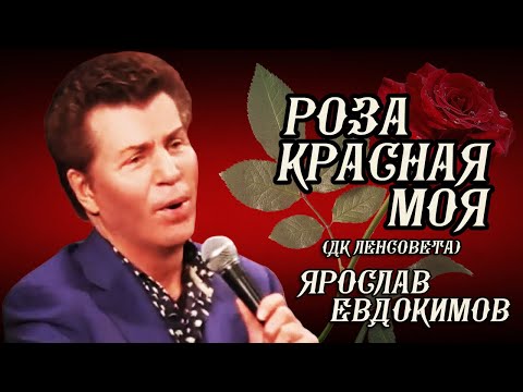 Видео: Ярослав Евдокимов - Роза красная моя (ДК Ленсовета)