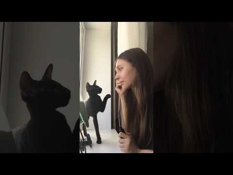Видео: Ориентальная кошка проверяет макияж хозяйки