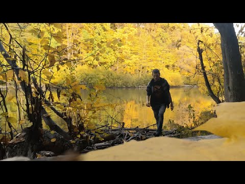 Видео: Землянка бункер. Два дня в лесу 4к видео 1 часть