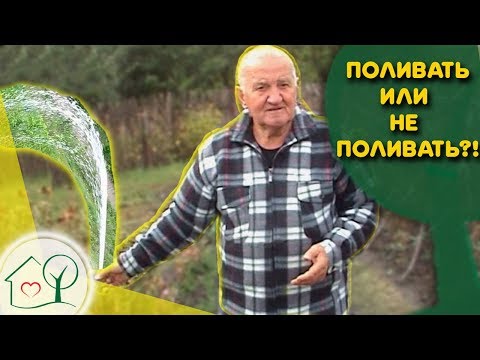 Видео: Бублик Б.А. Поливать 🌊 или не поливать ☂ растения на огороде. Огород без хлопот