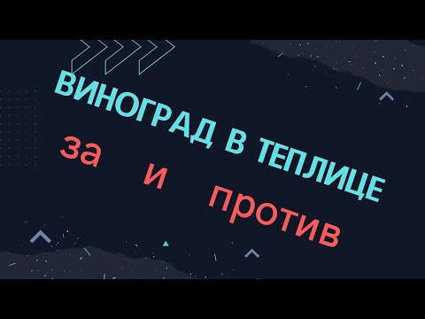 Видео: Выращивание винограда в теплице. За и против.