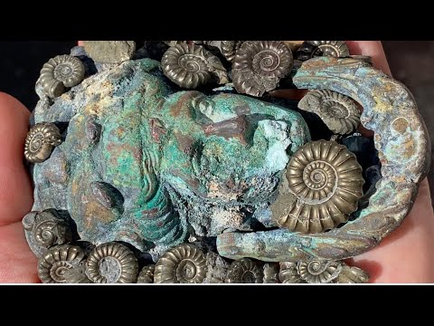 Видео: Удача в поисках золотых ископаемых в Лайм-Реджисе