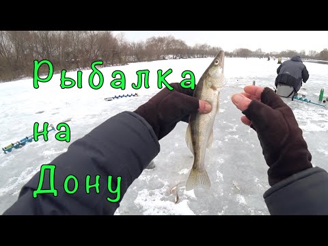 Видео: Донской БИРЮК и СУДАК. Мои приманки на судака.