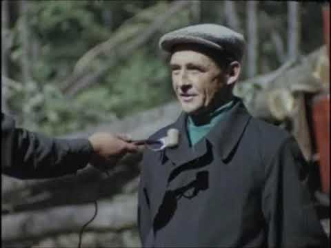 Видео: Фитиль №66 (1967 год)