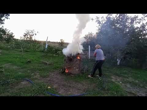 Видео: ЧЕМ Я СЕГОДНЯ ЗАНИМАЛАСЬ