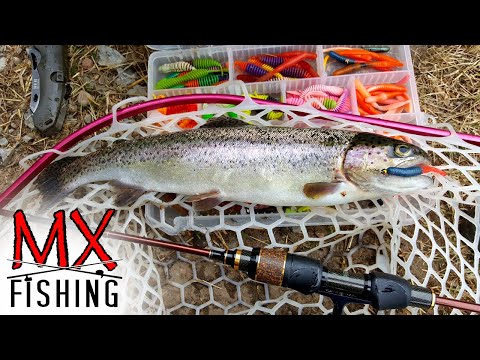 Видео: Ловля прудовой форели/Как ловить на силиконовые приманки?/Обзор новых приманок, "JASON CUSTOM LURES"