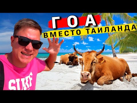 Видео: Индия 2024 - ГОА вместо Таиланда. Стоит ли ехать на ГОА? ЦЕНЫ, пляж Кандолим и Бага, ОТЕЛЬ, еда