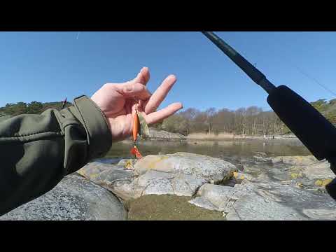 Видео: Западное Побереже Швеции 2025 (В Поисках Кумжи)...