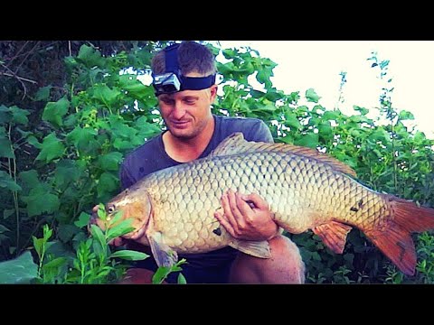 Видео: ВОТ ЭТО РЫБАЛКА! Я НЕ МОГУ ЕГО ВЫТАЩИТЬ! Рыбалка на КРУПНОГО САЗАНА и СОМА на КВОК.