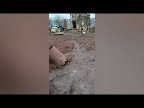 Видео: Хотелось бы делиться радостными новостями, но наши проблемы и нужды неизменны-нуждаемся в помощи 🙏🏼