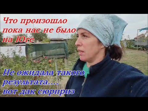 Видео: ЧТО ПРОИЗОШЛО НА ЮГЕ ПОКА  НАС НЕ БЫЛО, НЕ ОЖИДАЛА ТАКОГО РЕЗУЛЬТАТА