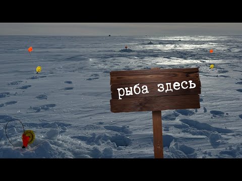 Видео: ЖЕРЛИЦЫ СТРЕЛЯЮТ ОДНА ЗА ОДНОЙ! НЕ УСПЕВАЮ ОБОРАЧИВАТЬСЯ! РЫБАЛКА, КАК ВО СНЕ!