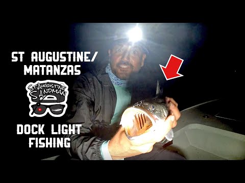 Видео: Ночная рыбалка на форель / залив Матансас, причал