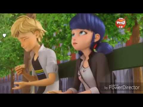 Видео: Леди баг и Супер кот~|Приколы|