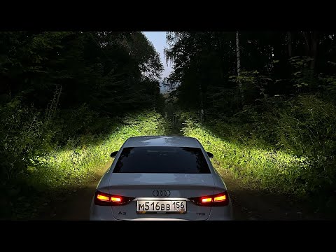 Видео: КЕМПИНГ В ЛЕСУ. С НОЧЕВКОЙ В ПАЛАТКЕ!