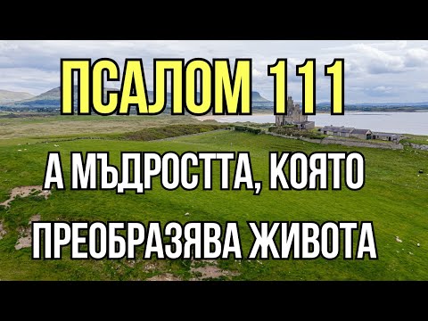Видео: ПСАЛОМ 111 — МЪДРОСТТА И ЧУДЕСАТА НА БОГ ЗА ТВОЯ ДЕН