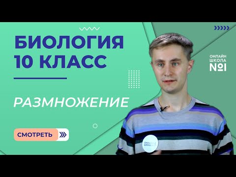 Видео: Урок 19. Бесполое и половое размножение. Биология 10 класс