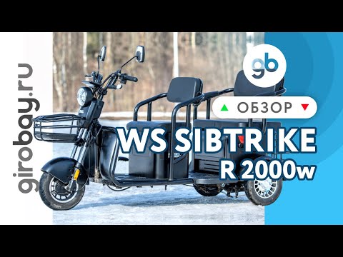 Видео: 🔵WHITE SIBERIA SIBTRIKE R 2000W - незаменимый трехместный грузовой.