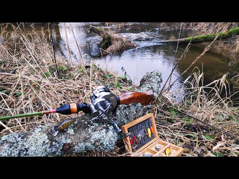 Видео: Первыя рыбалка в новом году 2024 На реке с прозрачной водой с Loongze B101AirHG и Aioushi UL-483