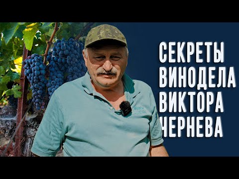 Видео: Секреты домашнего виноделия и рецепт хорошего вина от Виктора Чернева