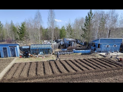 Видео: Экспериментируем с грядами под овощи 2023 год